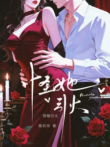 《怪她引火》小说封面
