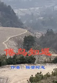 《倦鸟知返》小说封面