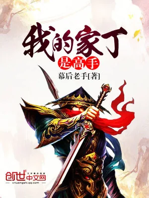 《我的家丁是高手》小说封面
