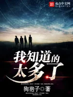 《我知道的太多了》小说封面