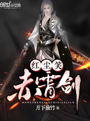 《红尘笑赤霄剑》小说封面