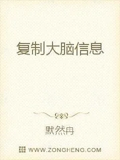 《复制大脑记忆》小说封面