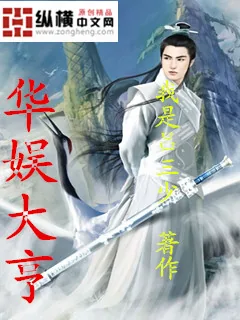 《华娱大亨》小说封面