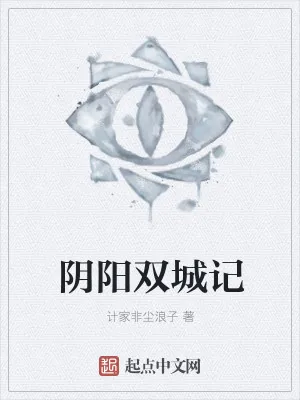 《阴阳双城记》小说封面