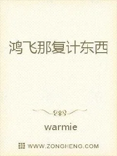 《鸿飞那复计东西》小说封面