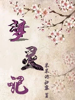 《梦灵记》小说封面