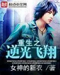 《重生之逆光飞翔》小说封面