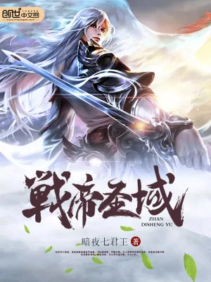 《战帝圣域》小说封面