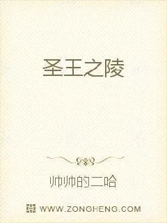 《圣王之陵》小说封面