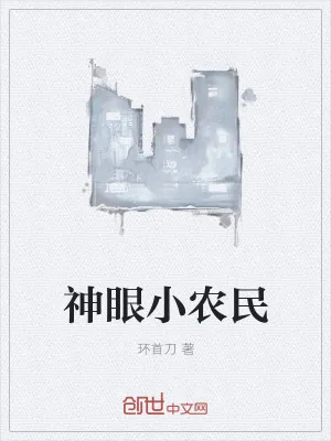 《神眼小农民》小说封面