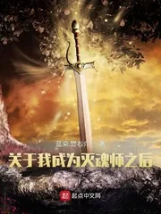 《关于我成为灭魂师之后》小说封面