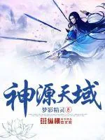 《神源天域》小说封面
