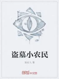 《盗墓小农民》小说封面