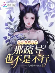 《毛茸茸哨兵？那疏导也不是不行》小说封面