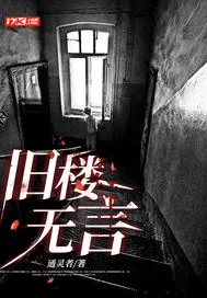 《旧楼无言》小说封面