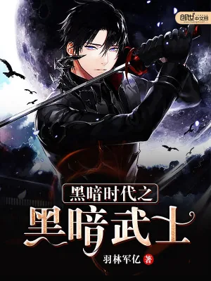《黑暗时代之黑暗武士》小说封面