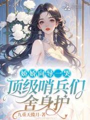 《娇娇向导一哭,顶级哨兵们舍身护》小说封面