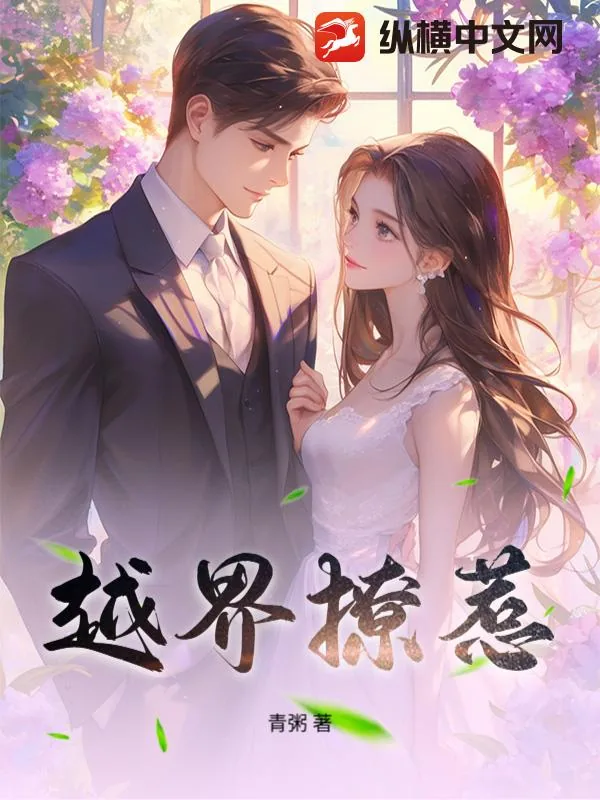《越界撩惹》小说封面
