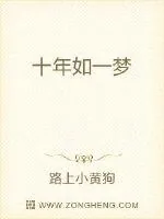 《十年如一梦》小说封面