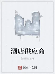 《酒店供应商》小说封面