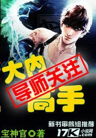 《大内高手》小说封面
