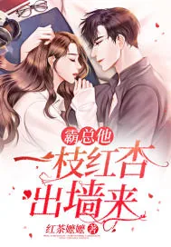 《霸总他一枝红杏出墙来》小说封面