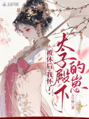 《被休后,我怀了太子殿下的崽》小说封面
