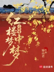 《红楼梦中梦之晴雯》小说封面