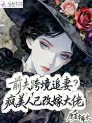 《前夫跨境追妻？疯美人已改嫁大佬》小说封面