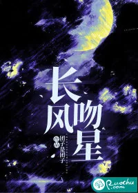《长风吻星》小说封面