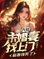 《九位未婚妻找上门，前妻悔哭了》小说封面