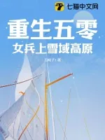 《重生五零，女兵上雪域高原》小说封面