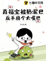 《真福宝被扔泥巴,反手扇个大嘴巴》小说封面
