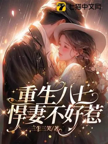 《重生八七,悍妻不好惹!》小说封面