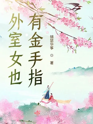 《外室女也有金手指》小说封面