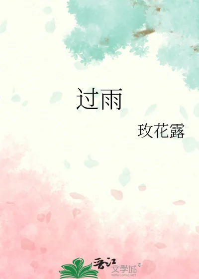 《过雨》小说封面