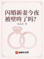 《闪婚新妻今夜被壁咚了吗?》小说封面