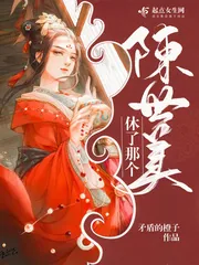 《休了那个陈世美》小说封面