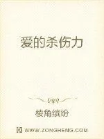 《爱的杀伤力》小说封面