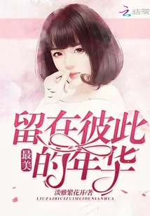 《留在彼此最美的年华》小说封面