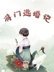 《将门逃婚记》小说封面
