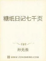 《糖纸日记七千页》小说封面