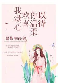 《我满心欢喜你温柔以待》小说封面