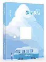 《岁不我与》小说封面