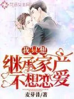 《我只想继承家产不想恋爱》小说封面