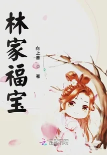 《林家福宝》小说封面