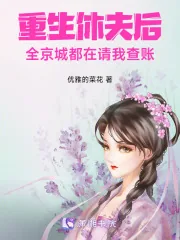 《重生休夫后，全京城都在请我查账》小说封面