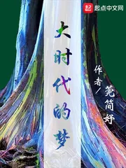 《大时代的梦》小说封面